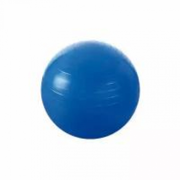 Мяч гимнастический Grome Fitness BL003-55
